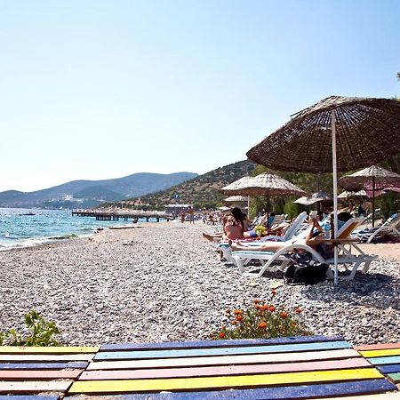Sahin Motel & Restaurant Yaliciftlik Eksteriør bilde